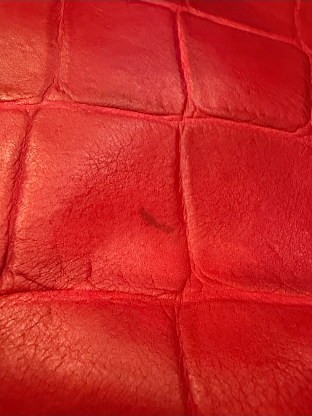 Dooney & Bourke Red Croc-Embossed Leather Shoulder Bag with Gold Hardware - Picture 6 of 14